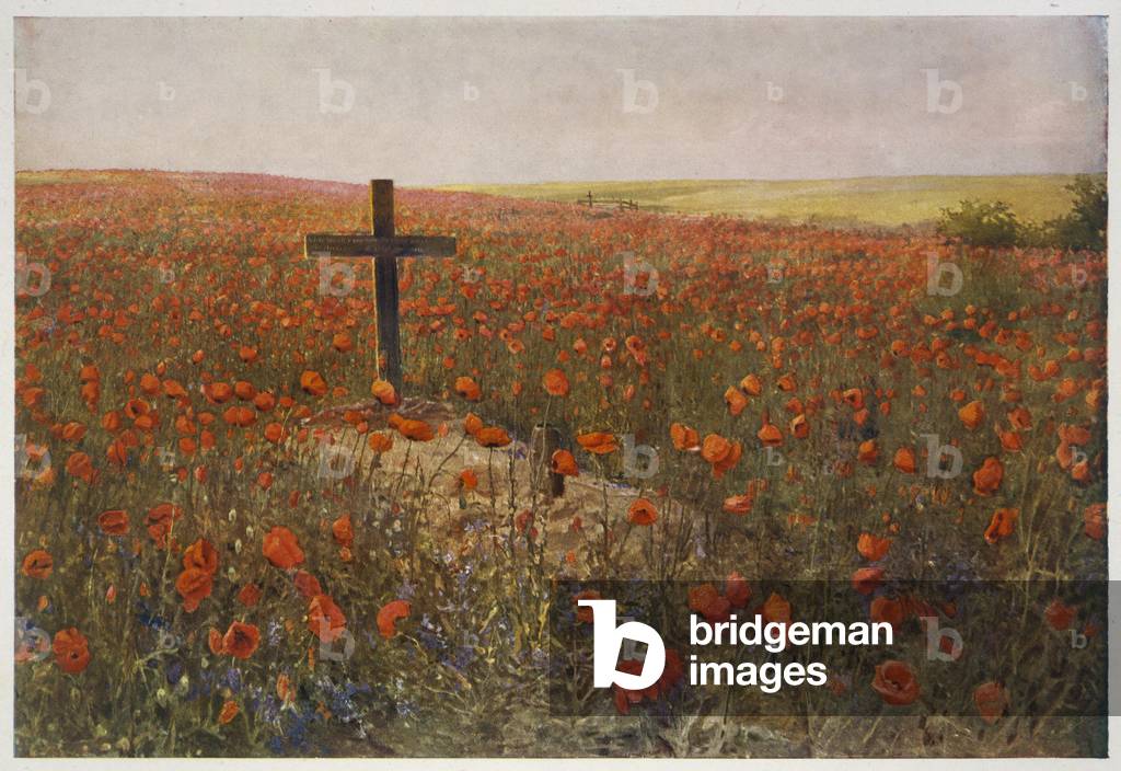 Dans Flanders Fields