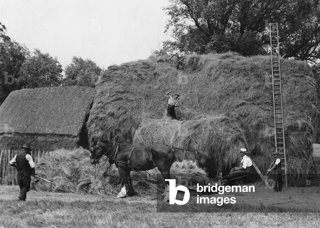 Bild von Fotografie "EINEN GROSSEN HEUHAUFEN MACHEN" 1930 von Barnaby's Studios Ltd