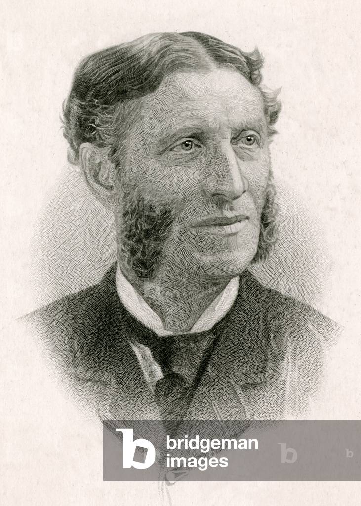 MATTHEW ARNOLD