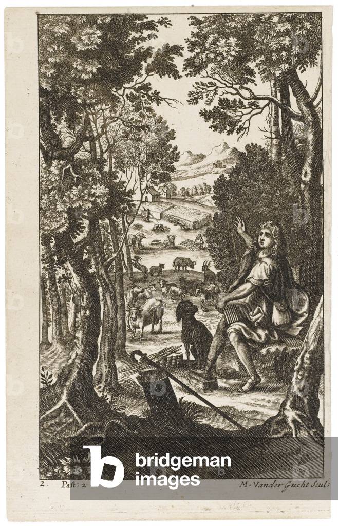 Corydon, incisione