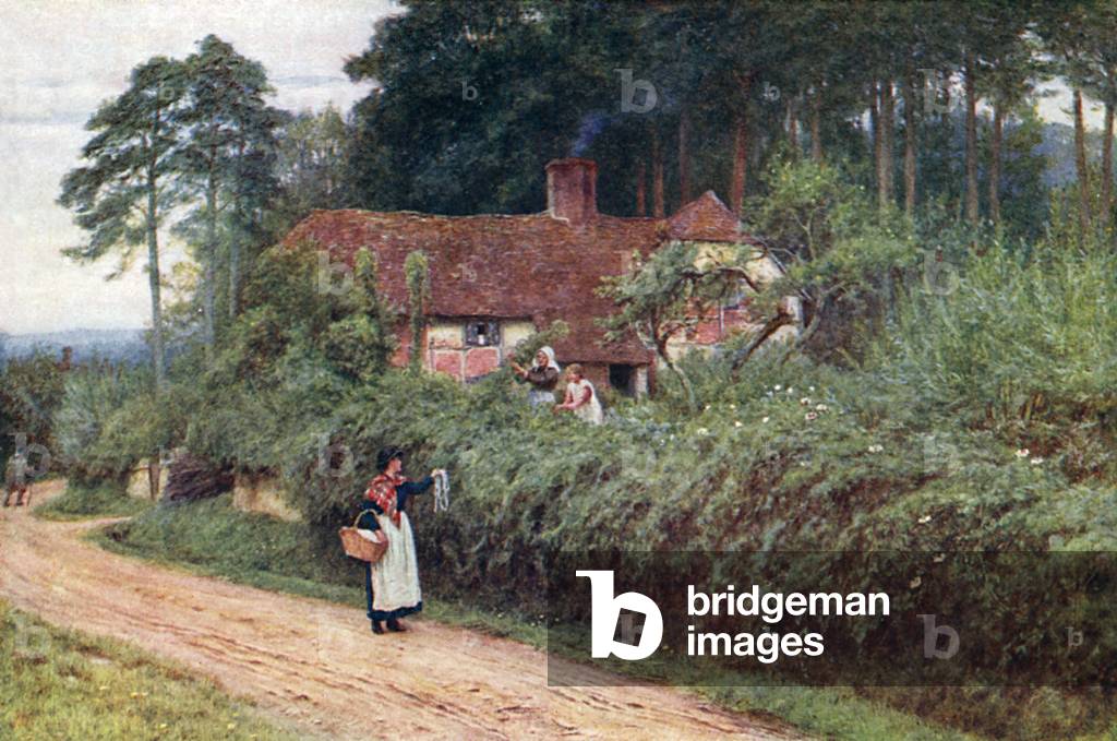 PEDLER IN LANE/ALLINGHAM