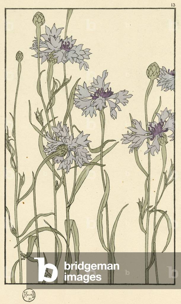 Immagine di Stampa "Fiordaliso" 1897