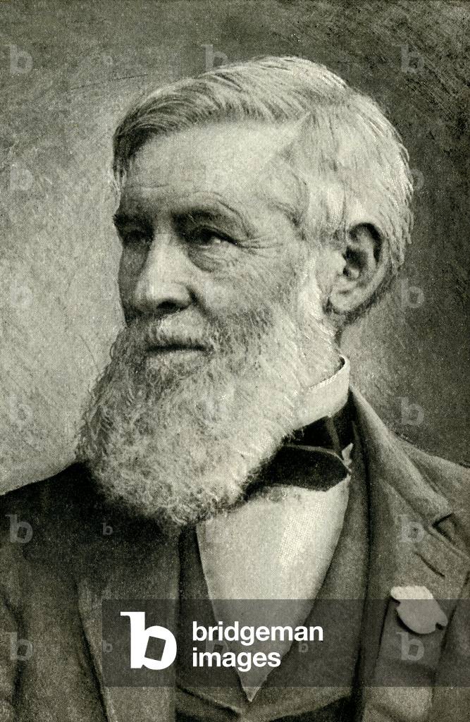 ASA GRIGIA