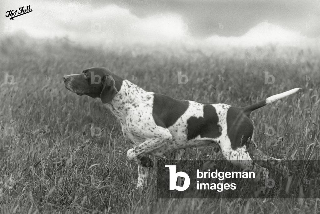 HERBST/ZEIGER/BANCHORY