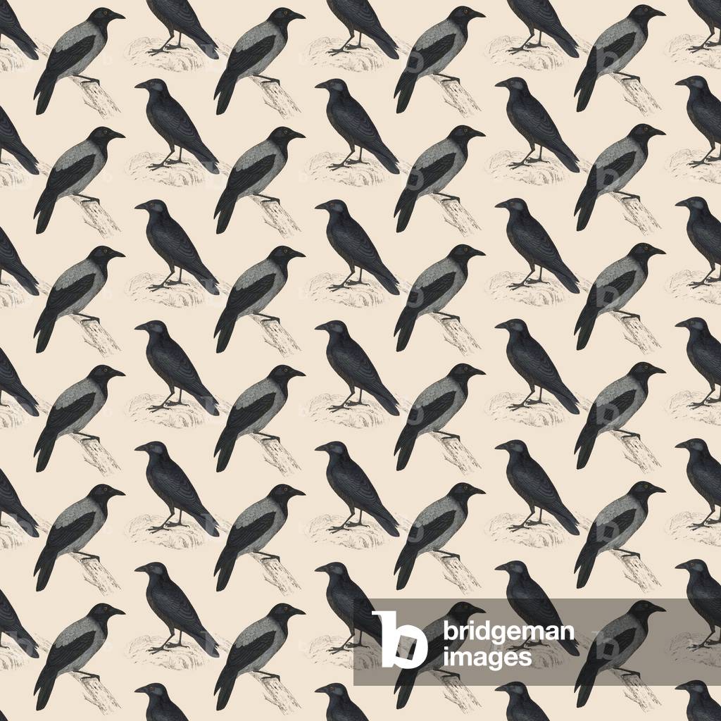 Repeating Pattern - Crows and Jackdaws