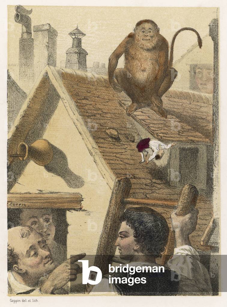 GULLIVER E LA SCIMMIA