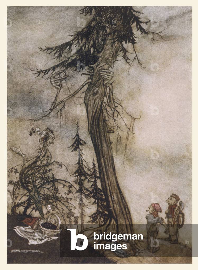 Bild von Druck "TANNE UND BROMBEERE" 1912 von Arthur Rackham