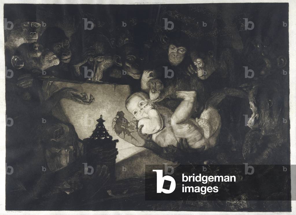 Image of Engraving depicting Evolution - Baby - Monkeys 1892 by Ernst Moritz Geyger