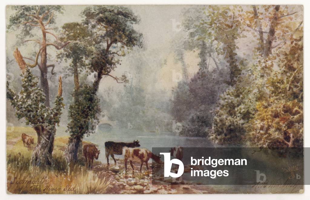 Bild von Druck "KÜHE & FLUSSSEITE" 1910