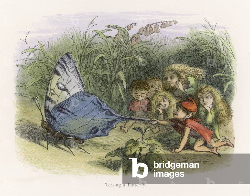 Bild von Druck "Elfen necken einen Schmetterling" 1875 von Richard Doyle