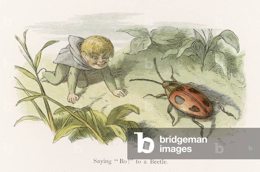 Elf encounters a beetle