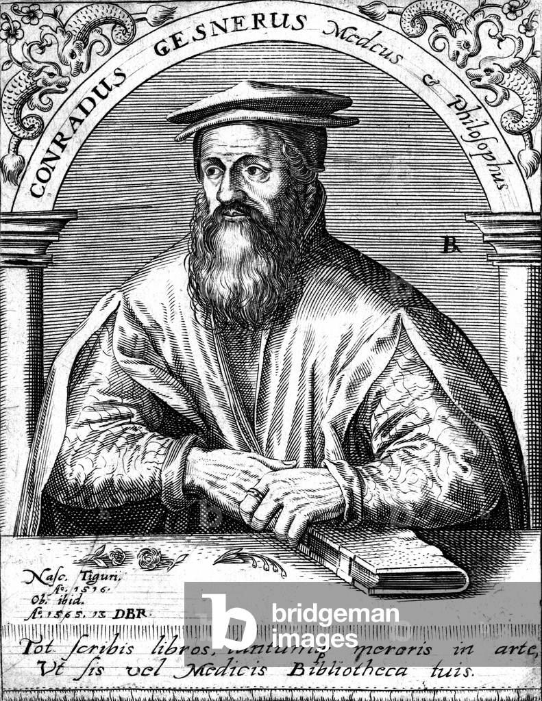 Immagine di Incisione "CONRAD GESNER" 1501 di Theodor de Bry