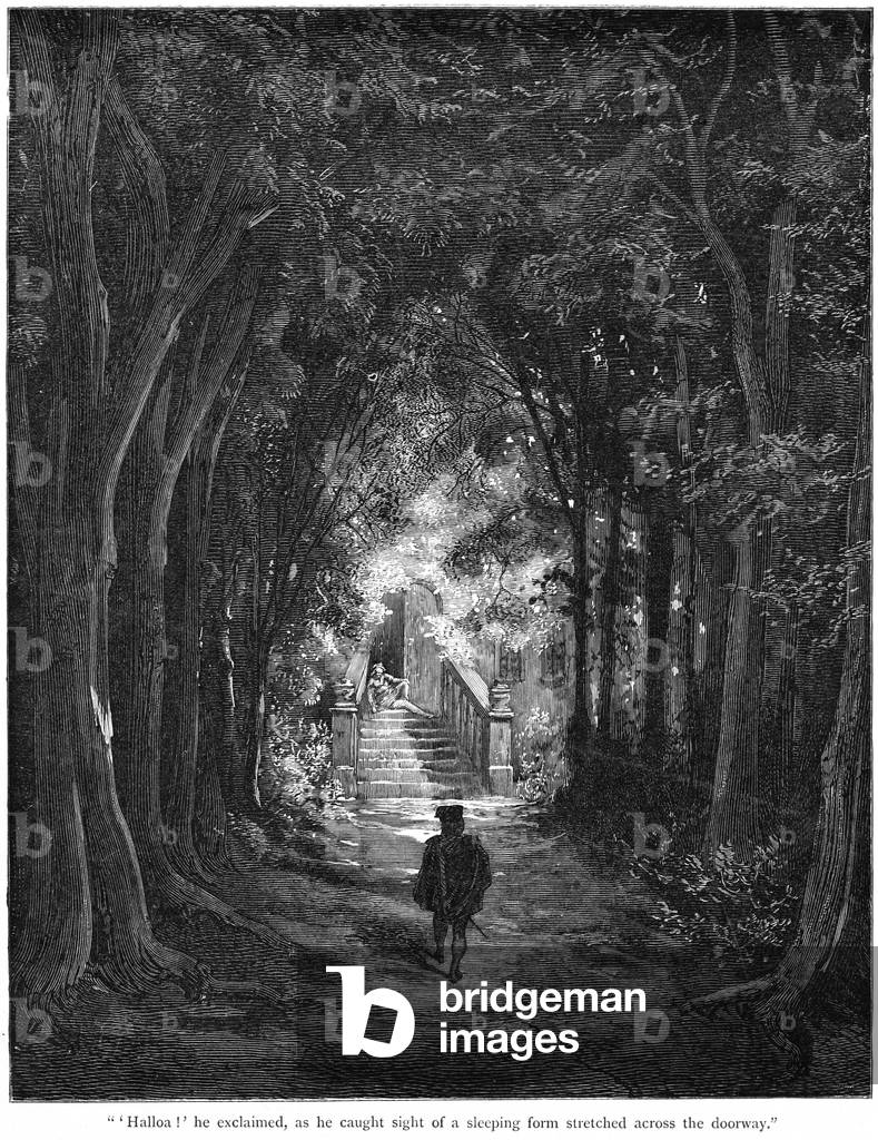 La bella addormentata