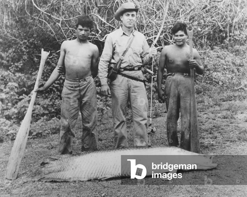 Image of Photography depicting A LARGE CATCH 1960 by Barnaby's Studios Ltd