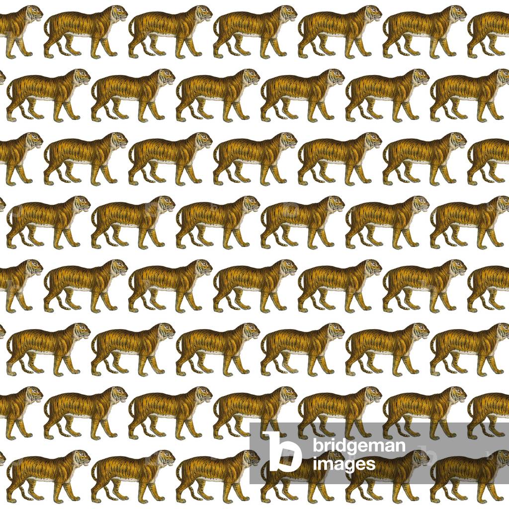Wiederholungsmuster - Tiger - weißer Hintergrund