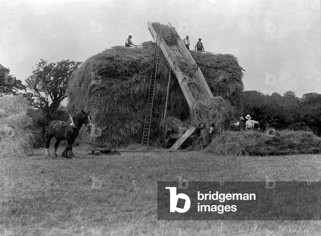 Bild von Fotografie "Heuhaufen machen (s/w Foto)" 1930 von Barnaby's Studios Ltd