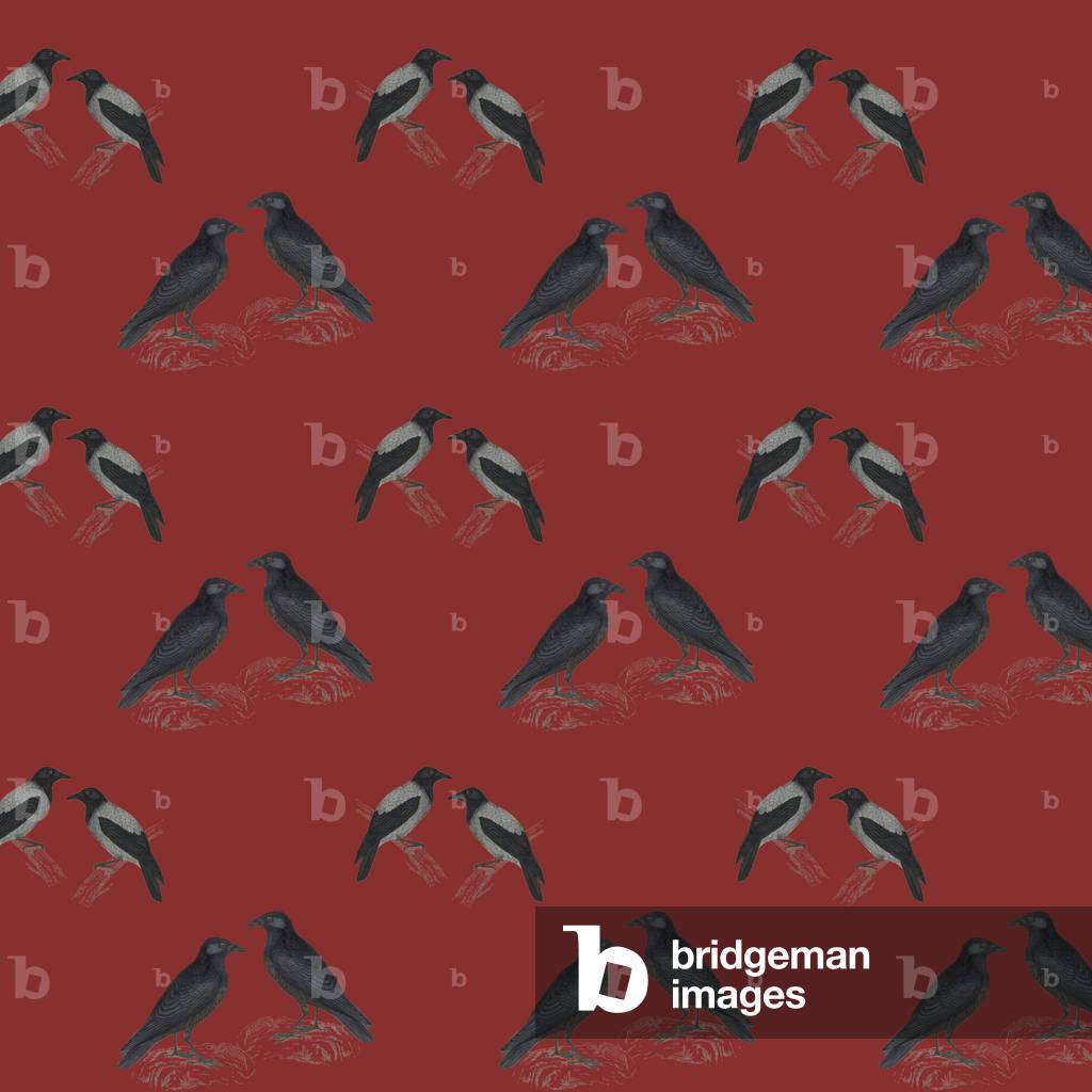 Schema ripetuto - Jackdaws