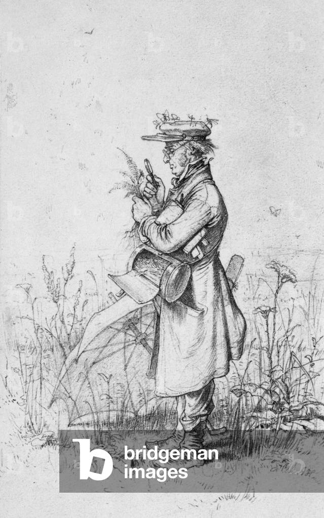 Botanico al lavoro