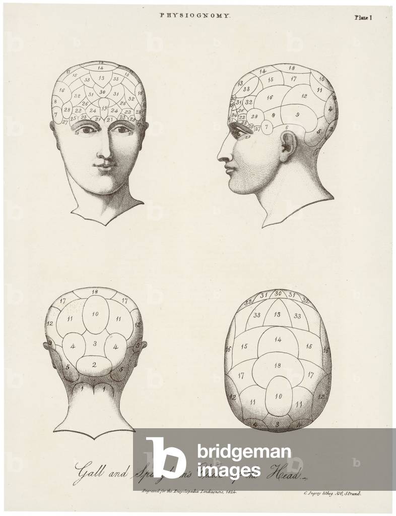Bild von Gravur "PHRENOLOGISCHE SYSTEME" 1824
