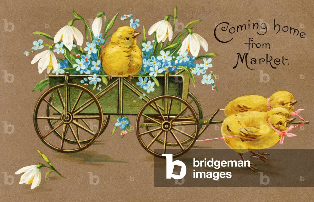 Customs - Easter - Chicks