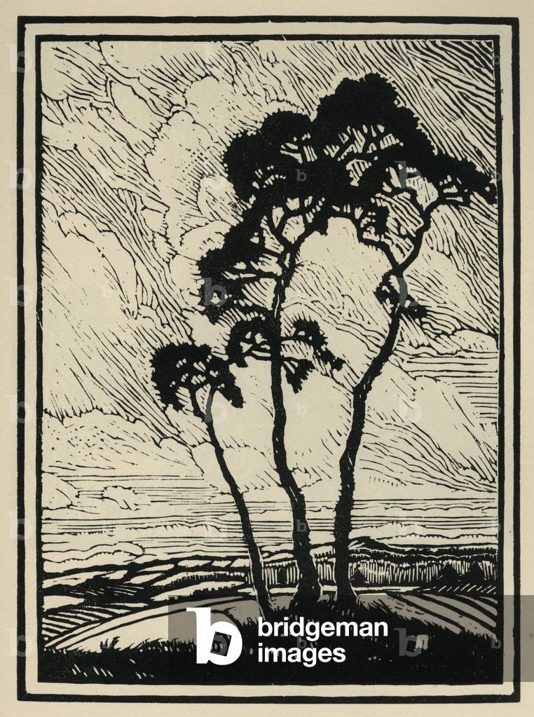 Image de Estampe représentant Hommage - Oracles 1925 par Molly MacArthur
