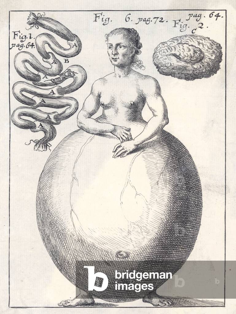 Image of Engraving depicting HIDEOUS DEFORMITY 1689