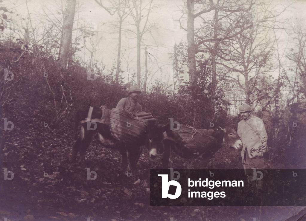 November 1916 - African bouriquets carrying ammunition in the area of La Harazee- Argonne