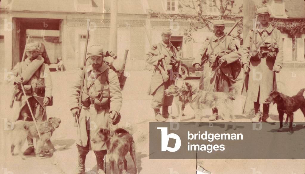1915-French soldiers with dogs trained for rat hunting