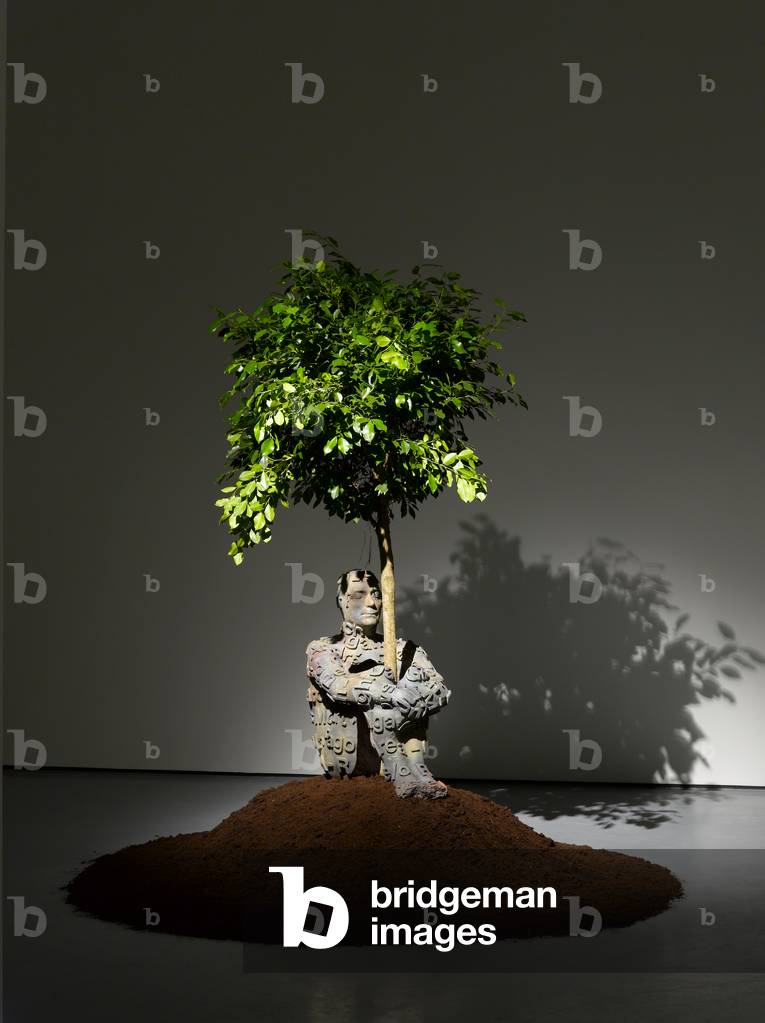 The Heart of Trees (bronze)