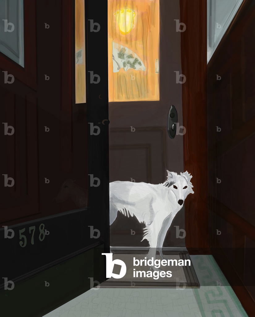 Minnie In Vestibule , Brooklyn (digital art)