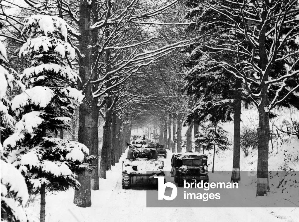 Second World War - Battle of the Bulge (WWII): Under a vault of snow-covered trees, a column of blinds belonging to 75 DI US advances towards the front - Photograph taken in Grandmenil (Belgium), beginning of January 1945