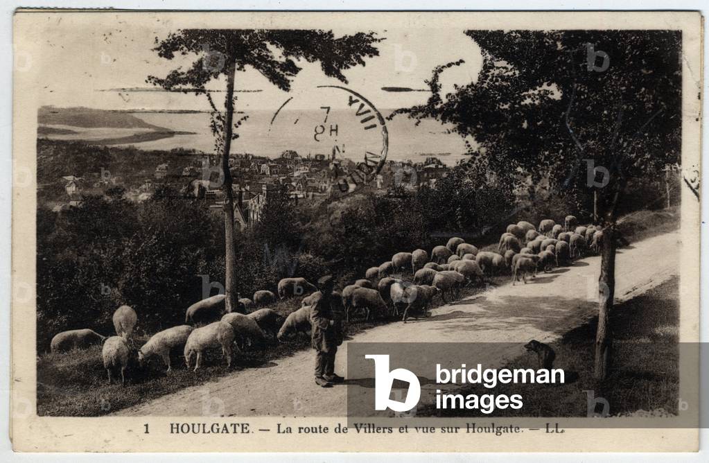 Normandy, Calvados (14), Houlgate: herd of sheep on the road of Villers and view of Houlgate - Postcard late 19th-beginning 20th century