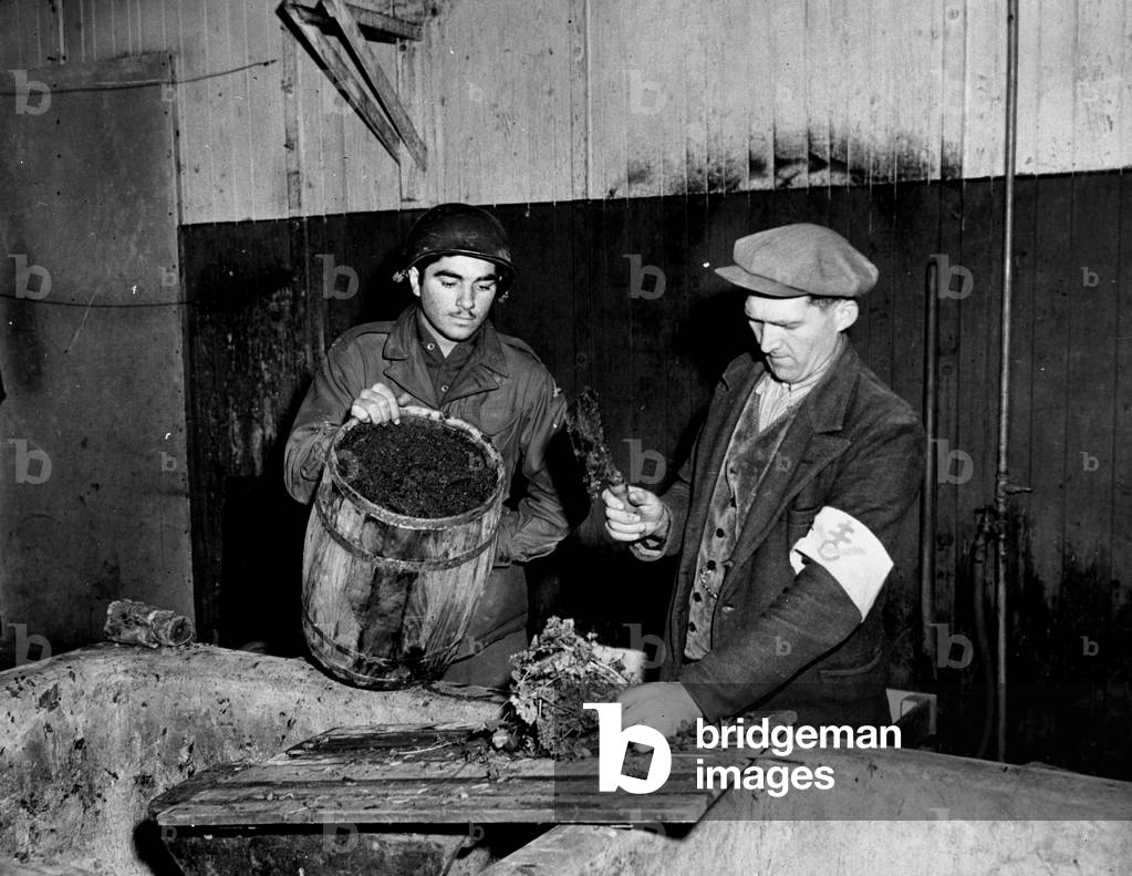 Bild von Fotografie "Camp du Struthof-Natzwiller (bei Schirmeck) Elsass Frankreich ab 1945 - Ein französischer