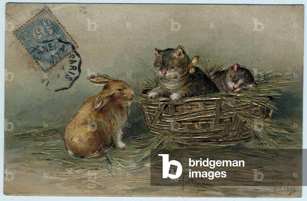 A rabbit and kittens in a basket - Postcard late 19th-20th century