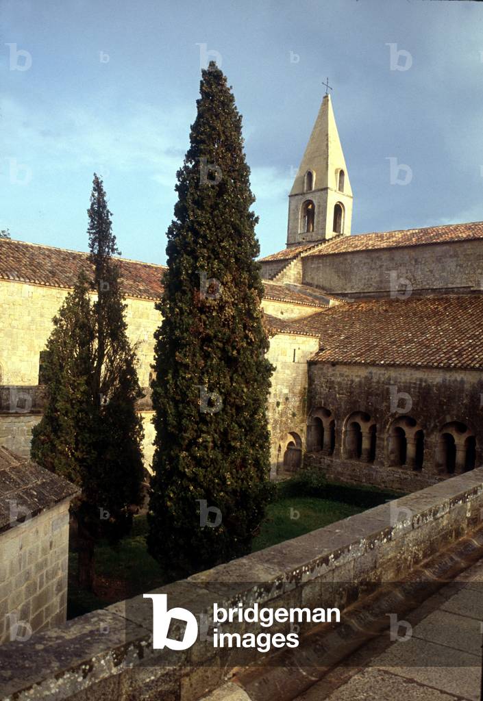 Cistercian Abbey of Thoronet (83), France.