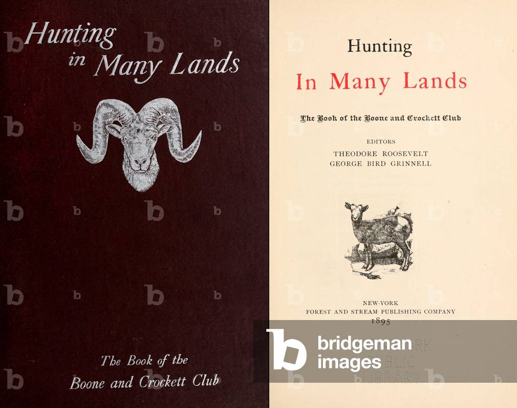 HUNTING IN MANY LANDS was co-authored By Theodore Roosevelt with George Bird Grillell for 'The Boone Crockett Club' in 1895
