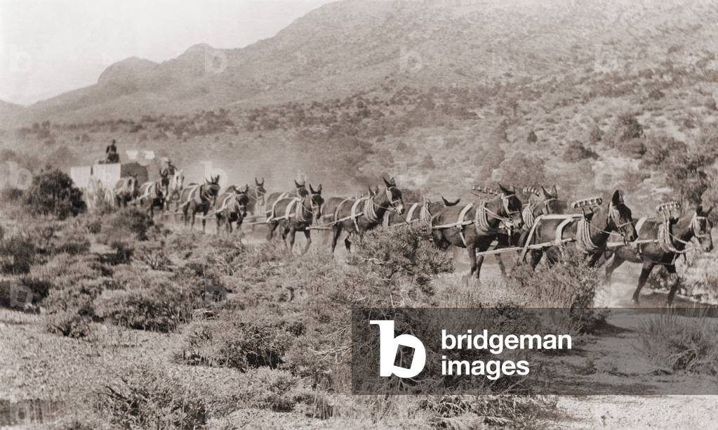Hauling ore by wagons with a fourteen mule team from Potosi mine, Nevada. The Potosi mine, named after the famous Bolivian silver mountain, produced lead, silver and zinc from its discovery in 1856 by Mormon settlers into the 1900s. Photo taken between 1880 and 1910