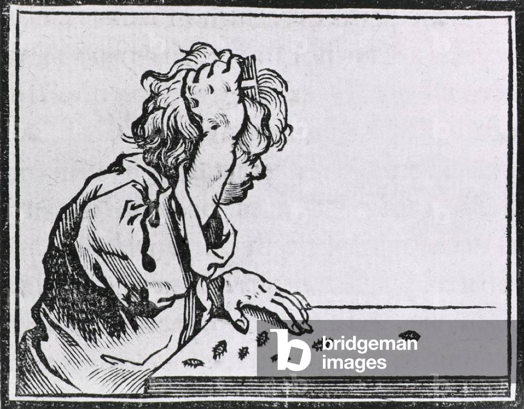 Human hair lice. Male youth seated at a table, combing the lice out of his hair. Woodcut from HISTORIA MEDICA, published in Brussels in 1639