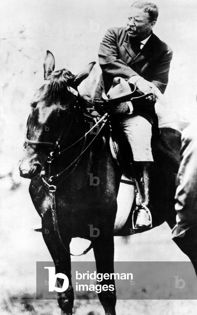 Theodore Roosevelt, (1858-1919), U.S. President 1901-1909, c. 1900's.