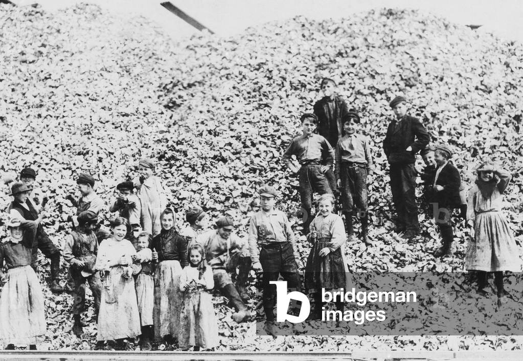 Children workers husking oysters, Mississippi, 1911.