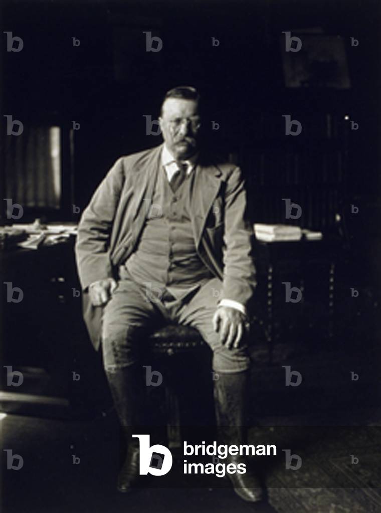 Theodore Roosevelt in his library at Oyster Bay N.Y in 1912, the year he would challenge his successor, William Taft, for the Republican presidential nomination