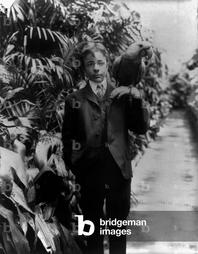 Theodore Roosevelt, J with a blue macaw, named Eli Yale,  1902 (b/w photo)
