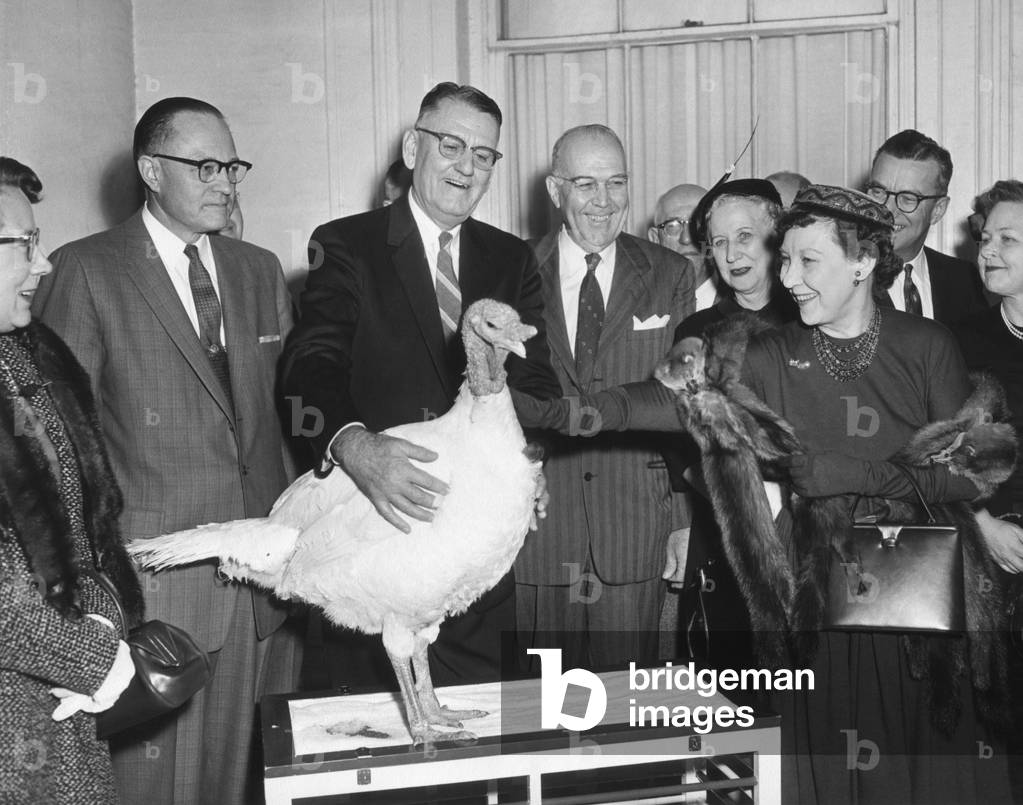 First Lady Mamie Eisenhower receiving a live Thanksgiving Turkey. Nov, 14, 1957.