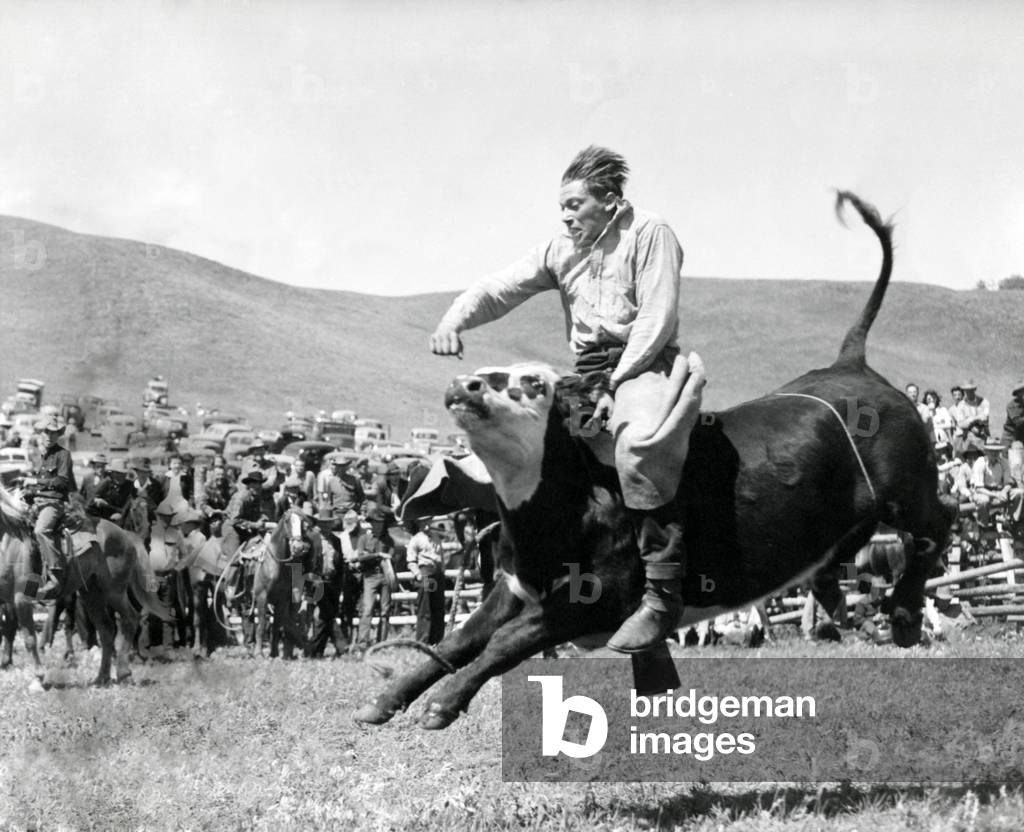 Bull Rider at American Rodeo. c. 1950.