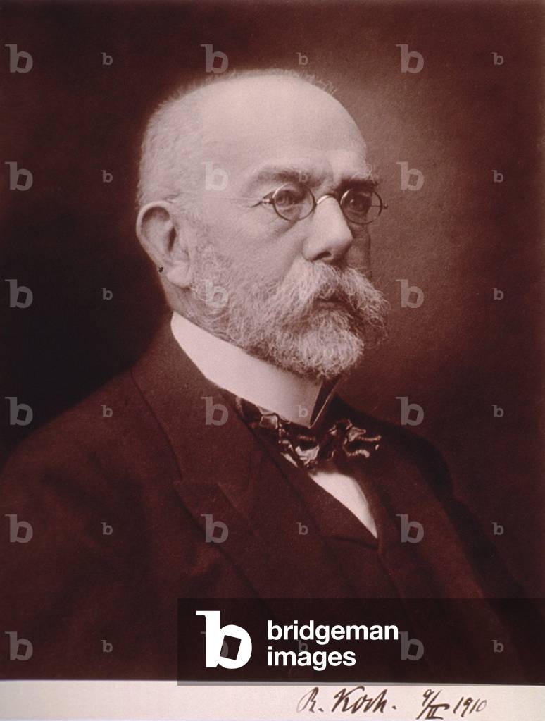 Robert Koch (1843-1910) German physician discovered the anthrax disease cycle, and the bacteria responsible for tuberculosis and cholera. 1899 portrait