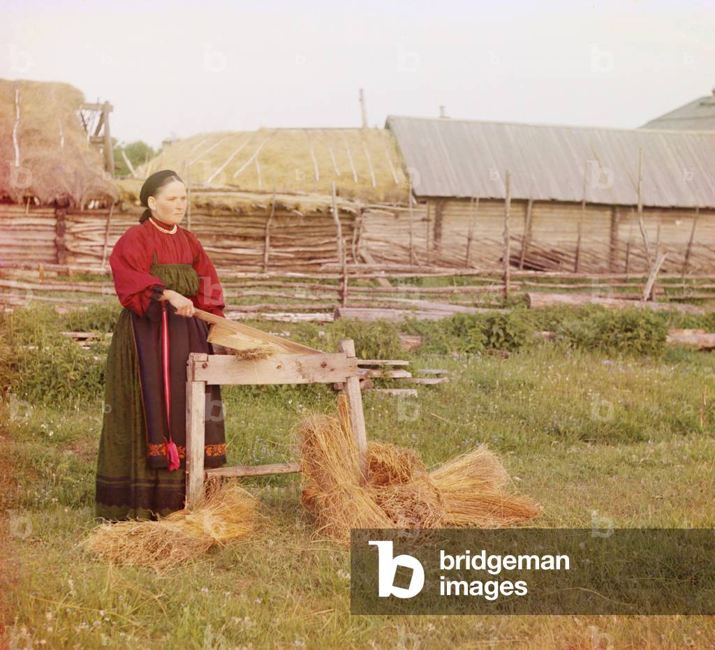 Russian peasant woman braking dried flax in a scutcher, to remove the flax's woody outer lay, leaving only the fibers. 1910 special process color photo Sergei Prokudin-Gorskii