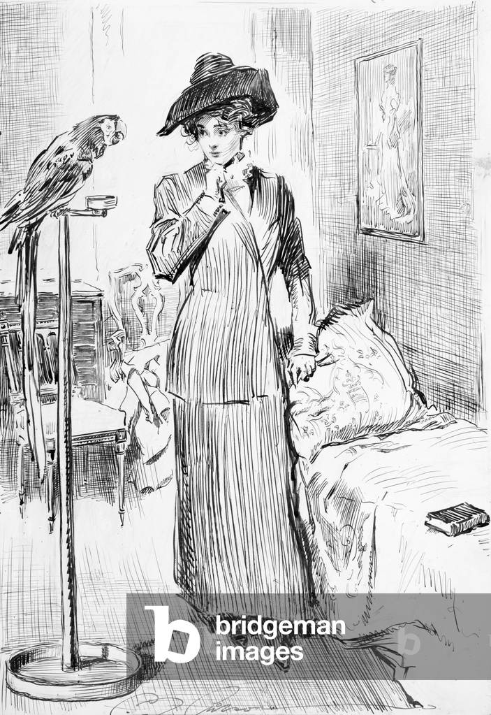 illustration for a scene of a Gibson Girl and a parrot, 1911 (engraving)