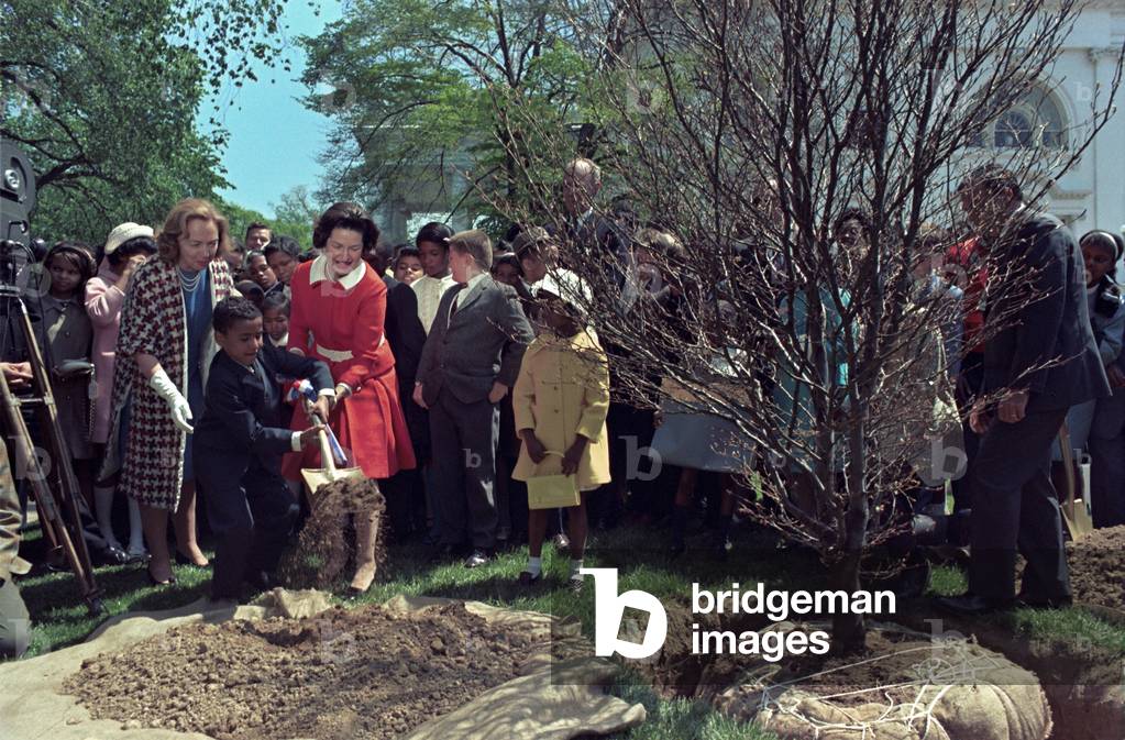 Lady Bird Johnson and young boy shoveling dirt during an Arbor Day Tree Planting. April 26, 1968