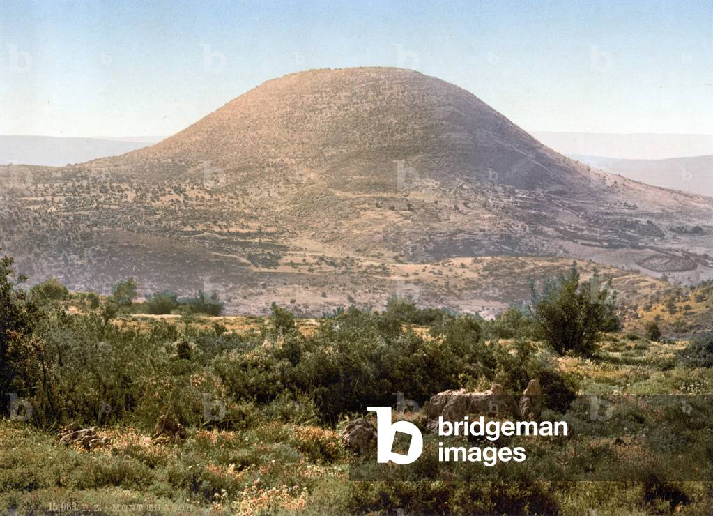 Mount Tabor, Holy Land, Israel, photochrom, c.1890-1900