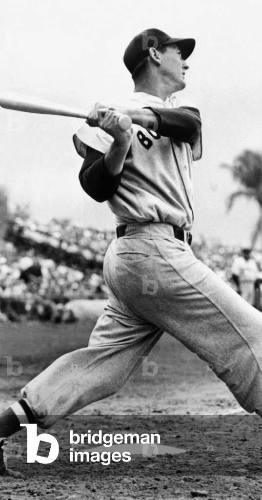 Ted Williams of the Boston Red Sox, c. 1951 Ted Williams gets batting practice by hitting grapefruits pitched by Red Xox Manager Joe Cronin. Sarasota, Fla, March 2, 1940